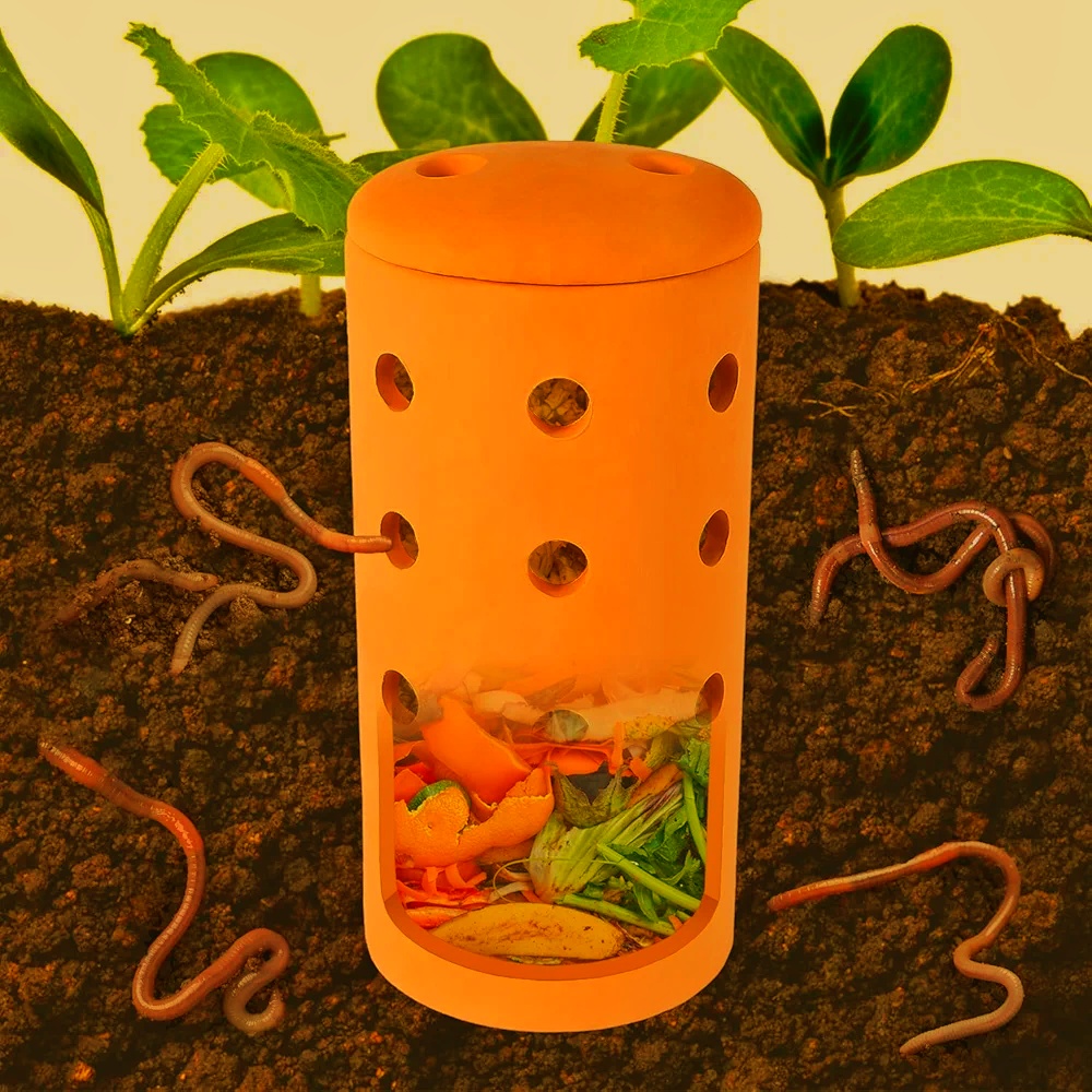 🪱 Small-Scale Worm Composting – From Kitchen Scraps to Rich Soil Worm Composting