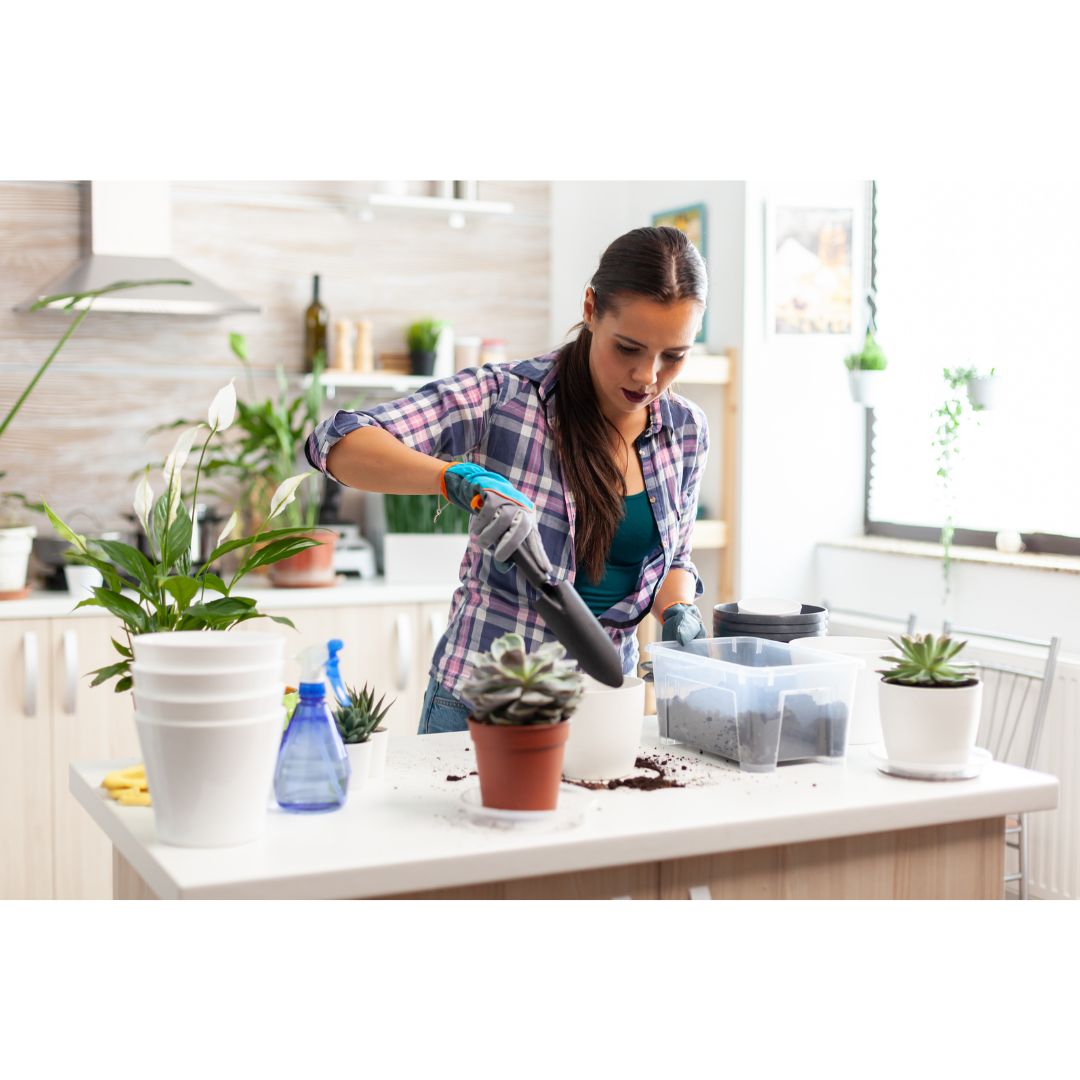 How to Make Your Own Compost at Home