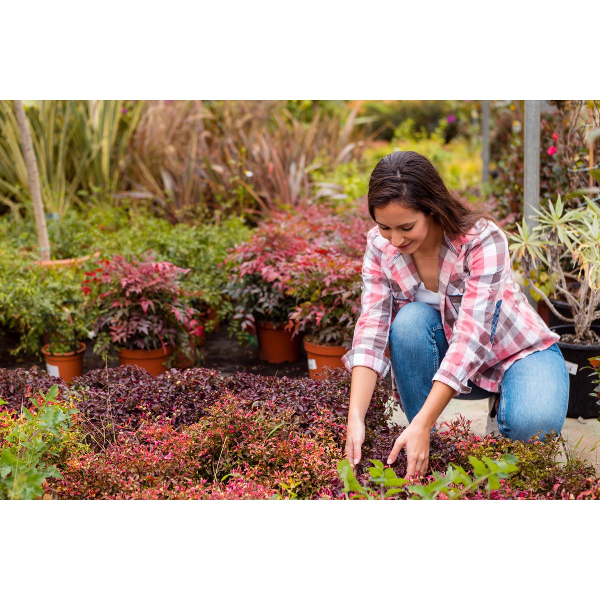 How to Start a Herb Garden at Home step by step