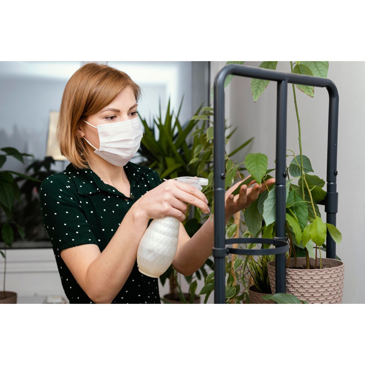 Organic Pest Control Methods for Home Gardens
