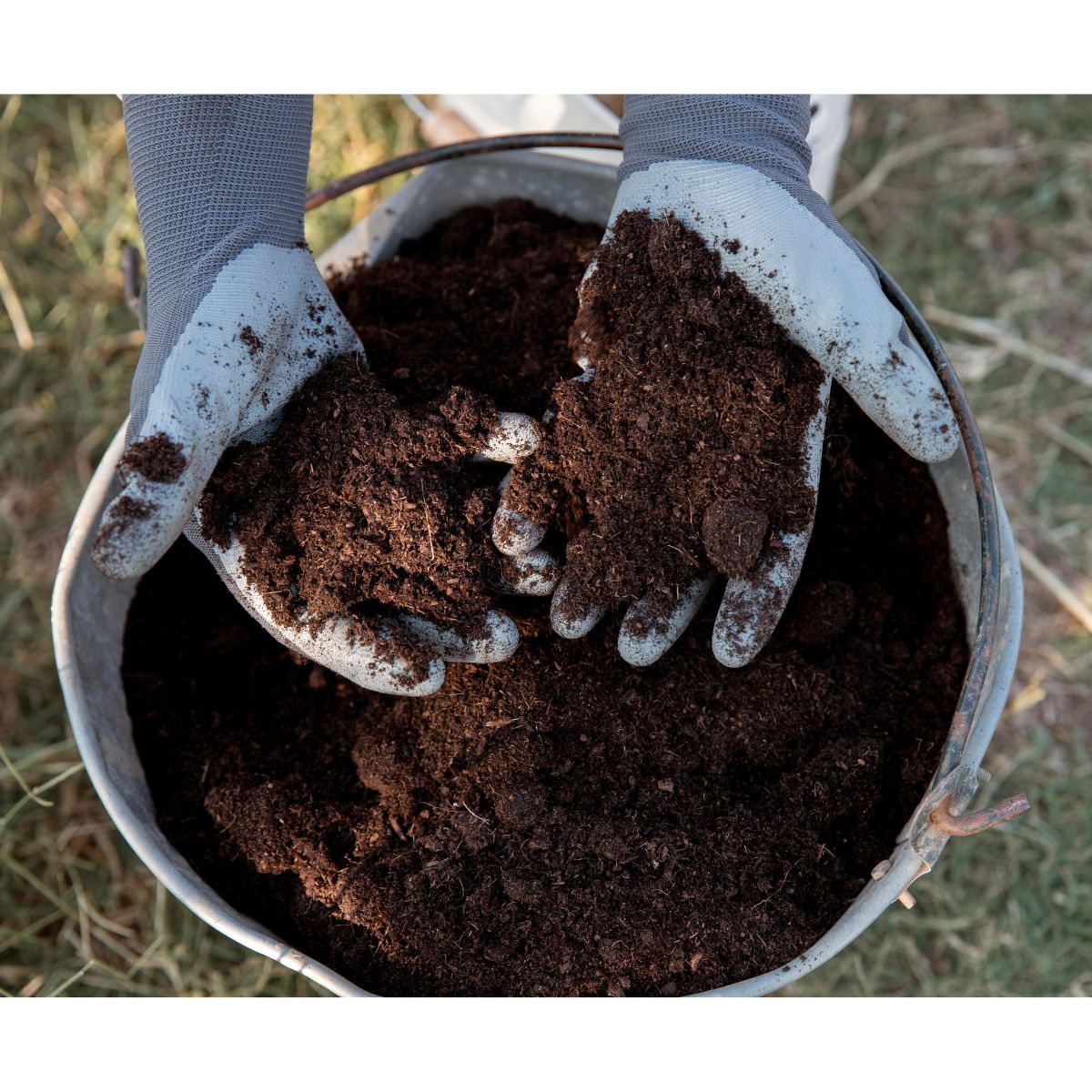 Harvesting Compost
