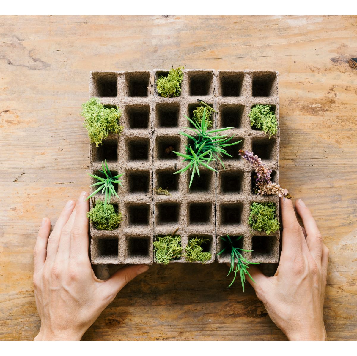 Square Foot Gardening Layouts