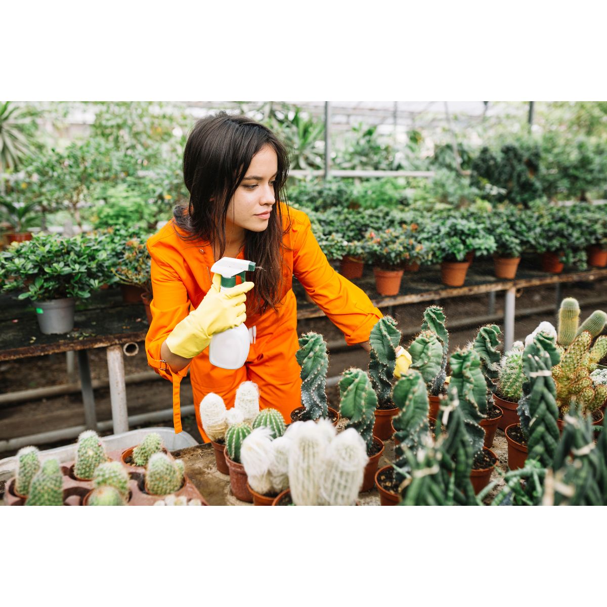 top 10 Common Vegetable Gardening Mistakes