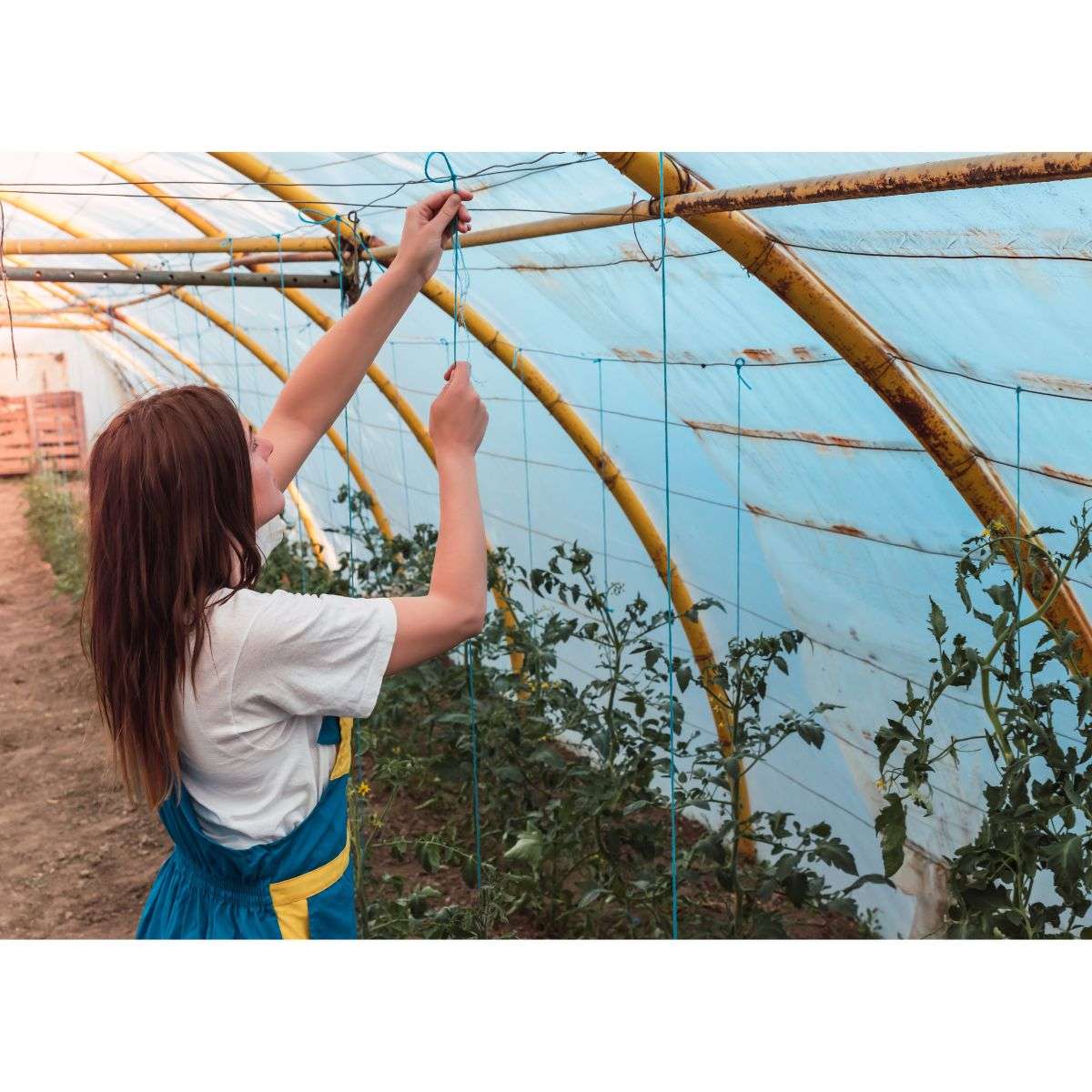 Design Garden to Block Slug Travel