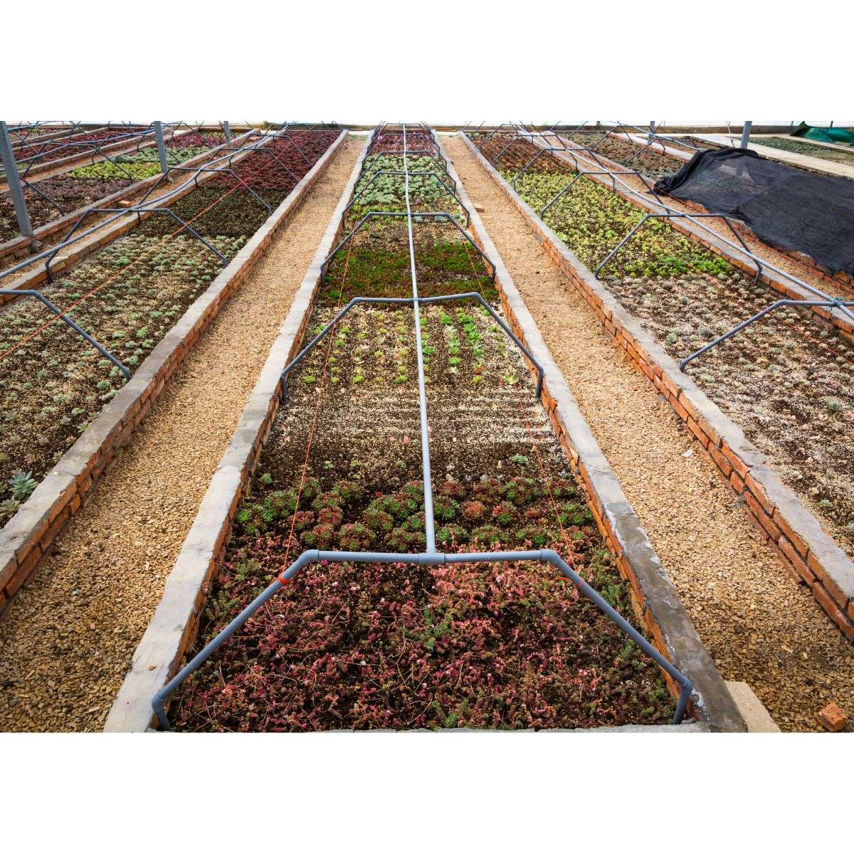 _Downspout Diverters