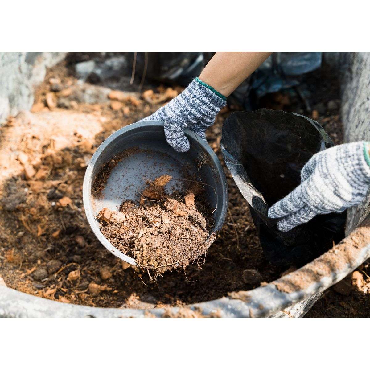 compost chicken poop