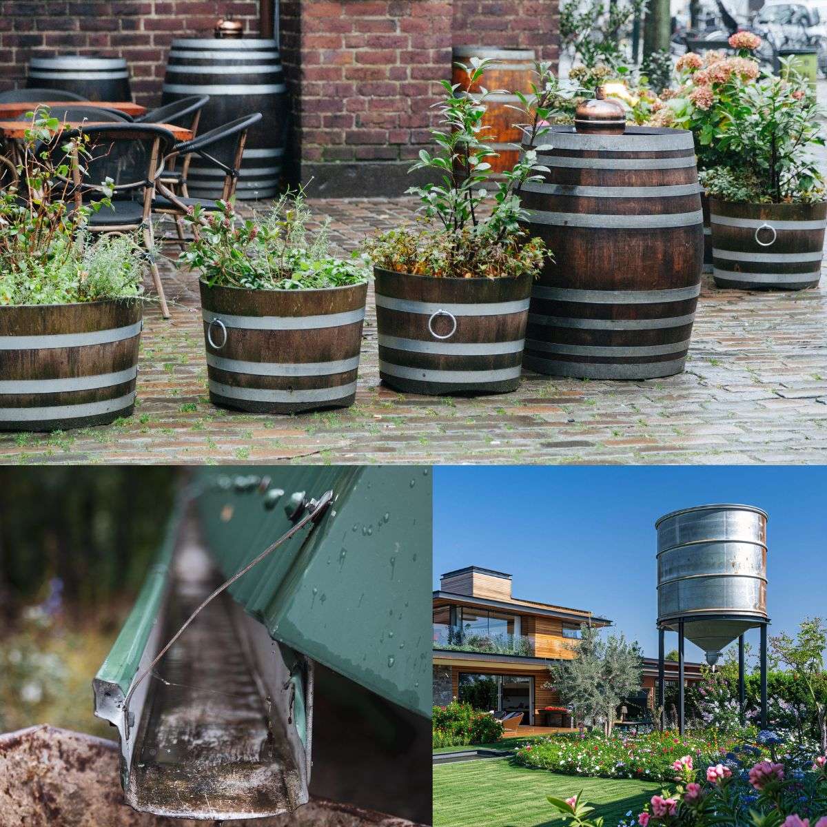 rainwater harvesting for the garden