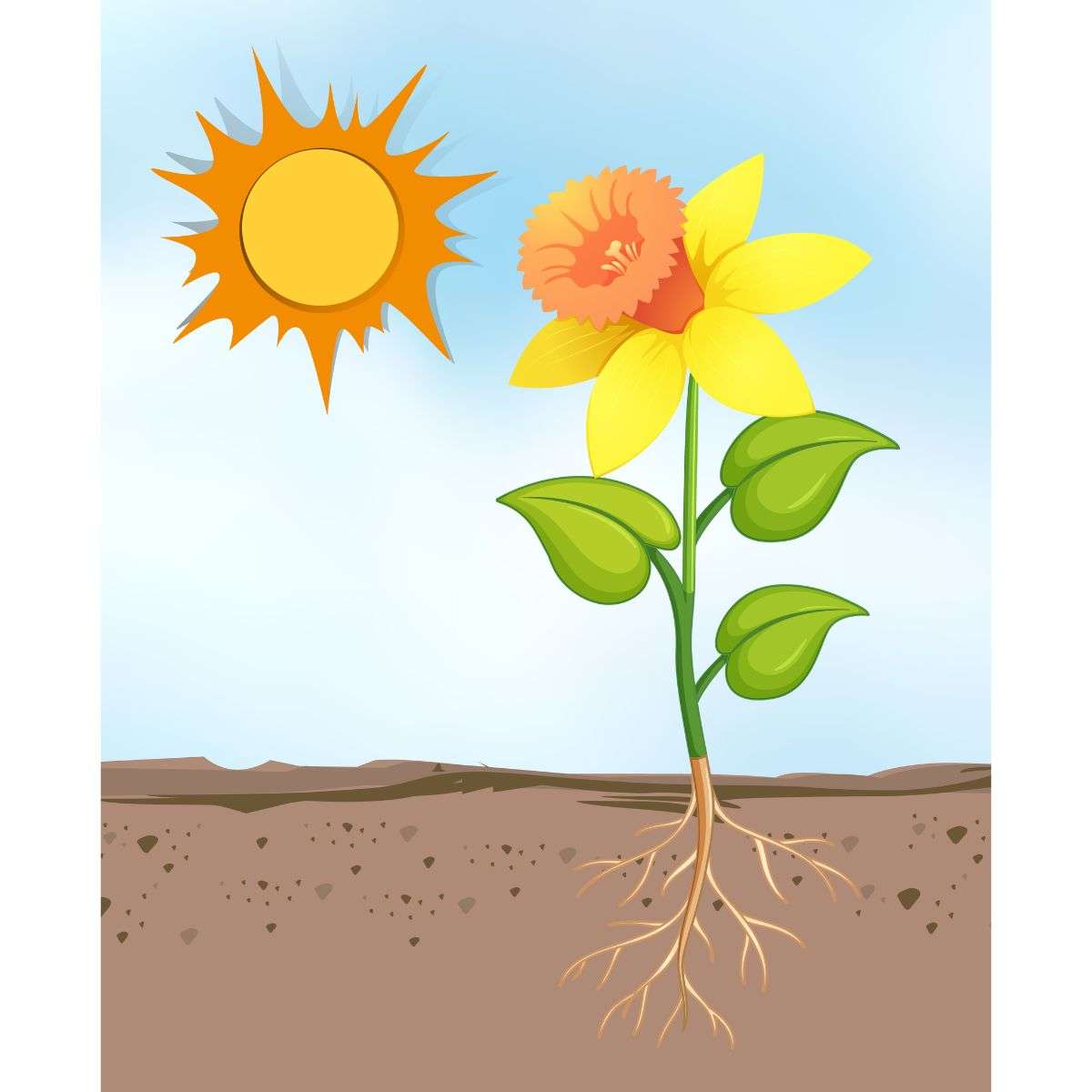 Heat Stops Flower Production